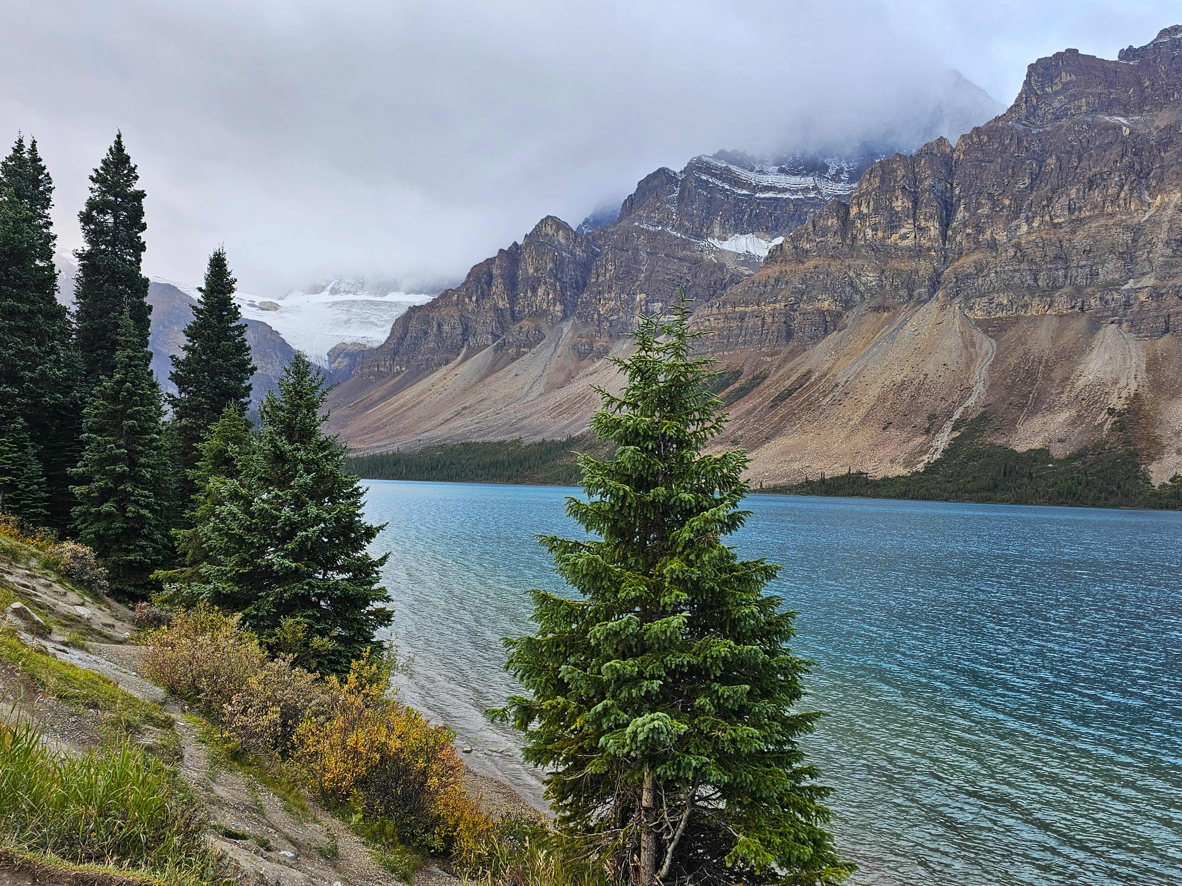 NP Banff